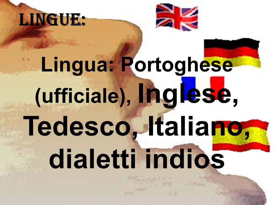 LINGUE: Lingua: Portoghese (ufficiale), Inglese, Tedesco, Italiano, dialetti indios