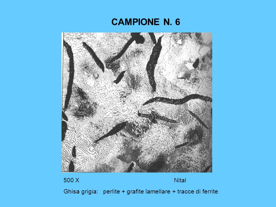 CAMPIONE N X Nital Ghisa grigia: perlite + grafite lamellare + tracce di ferrite
