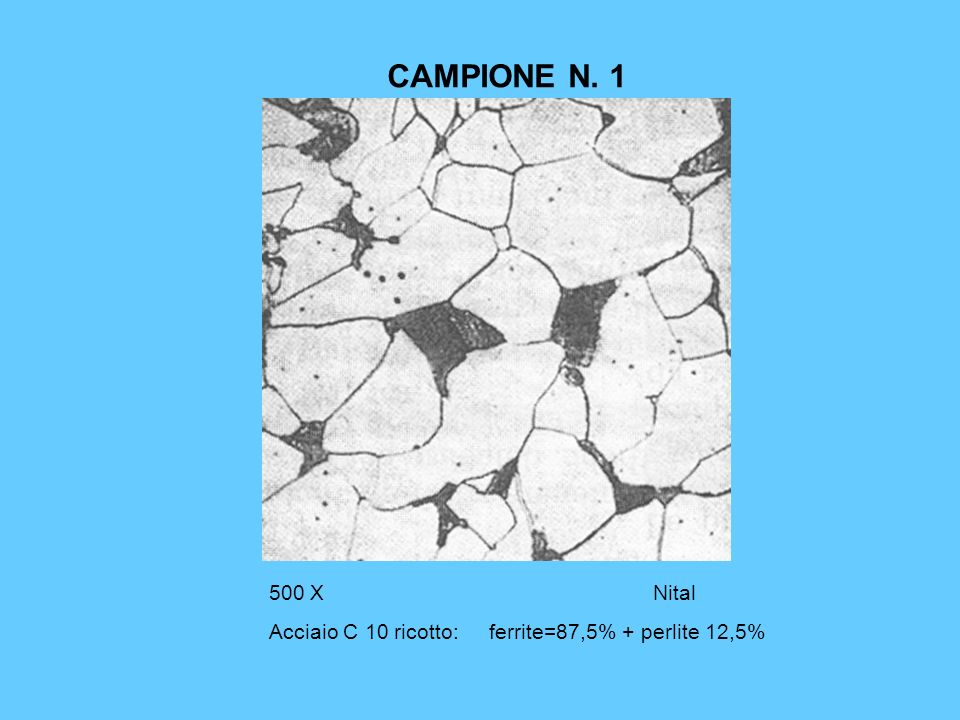 CAMPIONE N X Nital Acciaio C 10 ricotto: ferrite=87,5% + perlite 12,5%