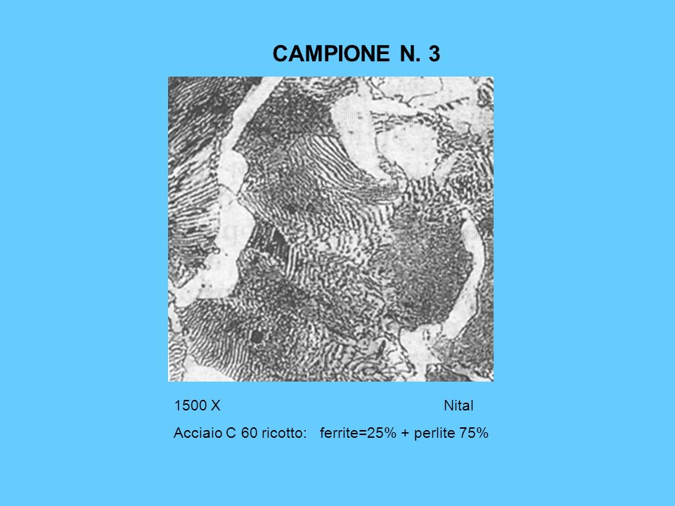 CAMPIONE N X Nital Acciaio C 60 ricotto: ferrite=25% + perlite 75%