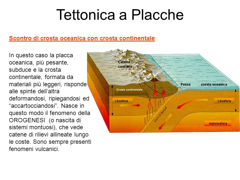 Tettonica a Placche Scontro di crosta oceanica con crosta continentale: