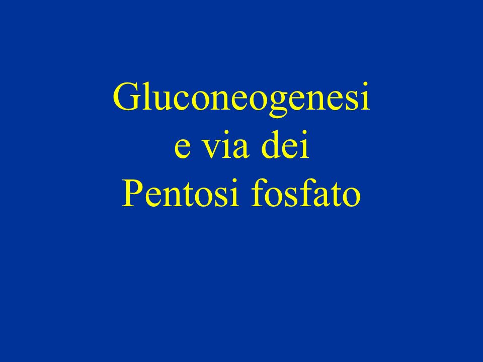Gluconeogenesi e via dei Pentosi fosfato