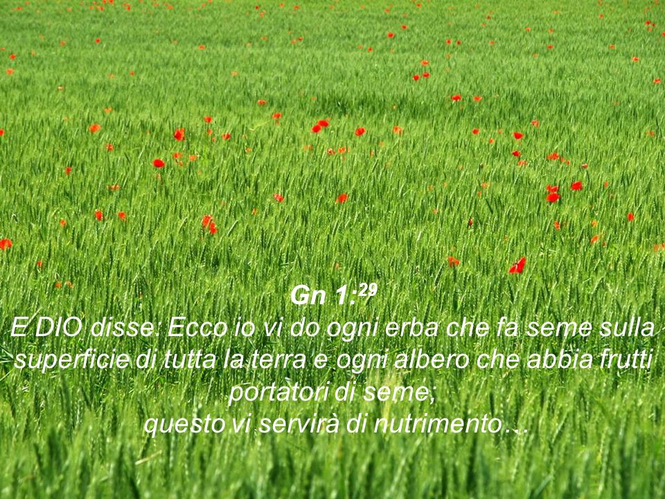 Gn 1:29 E DIO disse: Ecco io vi do ogni erba che fa seme sulla superficie di tutta la terra e ogni albero che abbia frutti portatori di seme; questo vi servirà di nutrimento…