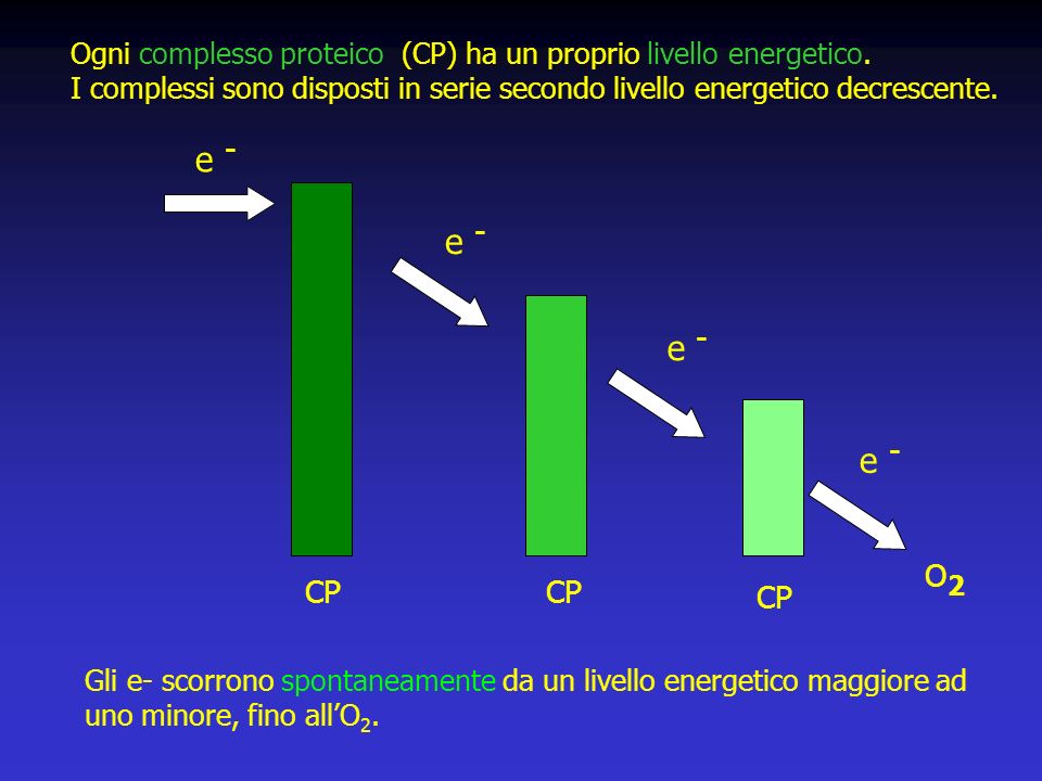 Ogni complesso proteico (CP) ha un proprio livello energetico.