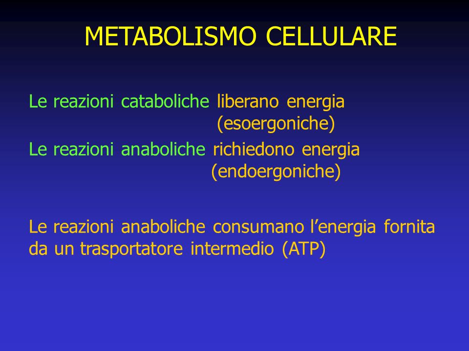 METABOLISMO CELLULARE