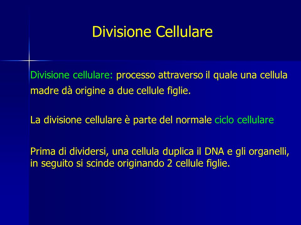 Divisione Cellulare Divisione cellulare: processo attraverso il quale una cellula madre dà origine a due cellule figlie.