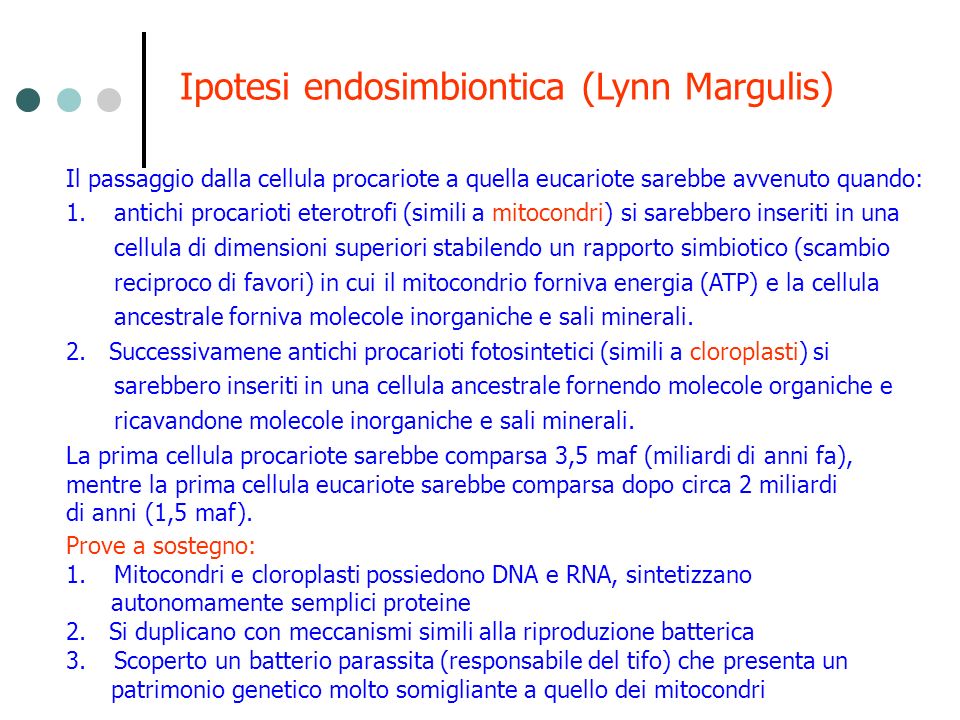 Ipotesi endosimbiontica (Lynn Margulis)