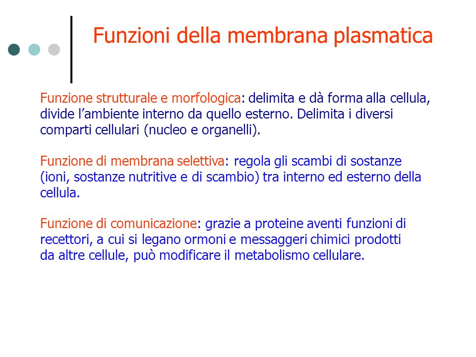 Funzioni della membrana plasmatica