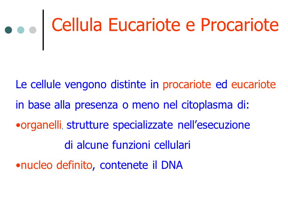 Cellula Eucariote e Procariote