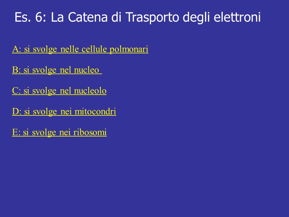 Es. 6: La Catena di Trasporto degli elettroni