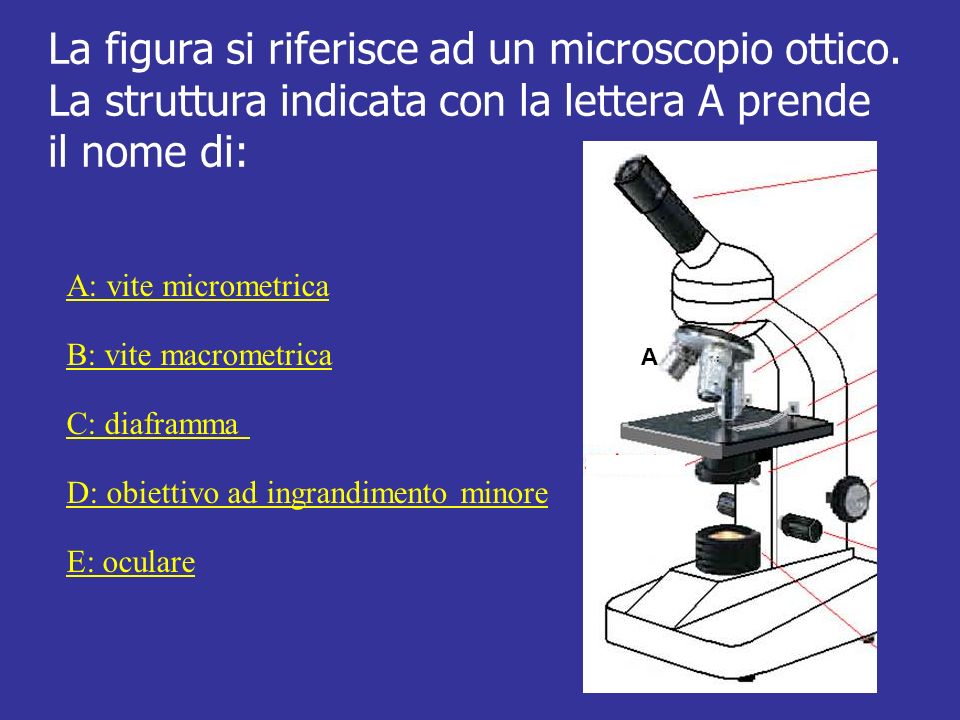 La figura si riferisce ad un microscopio ottico.