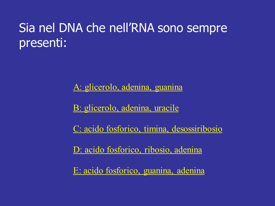 Sia nel DNA che nell’RNA sono sempre presenti: