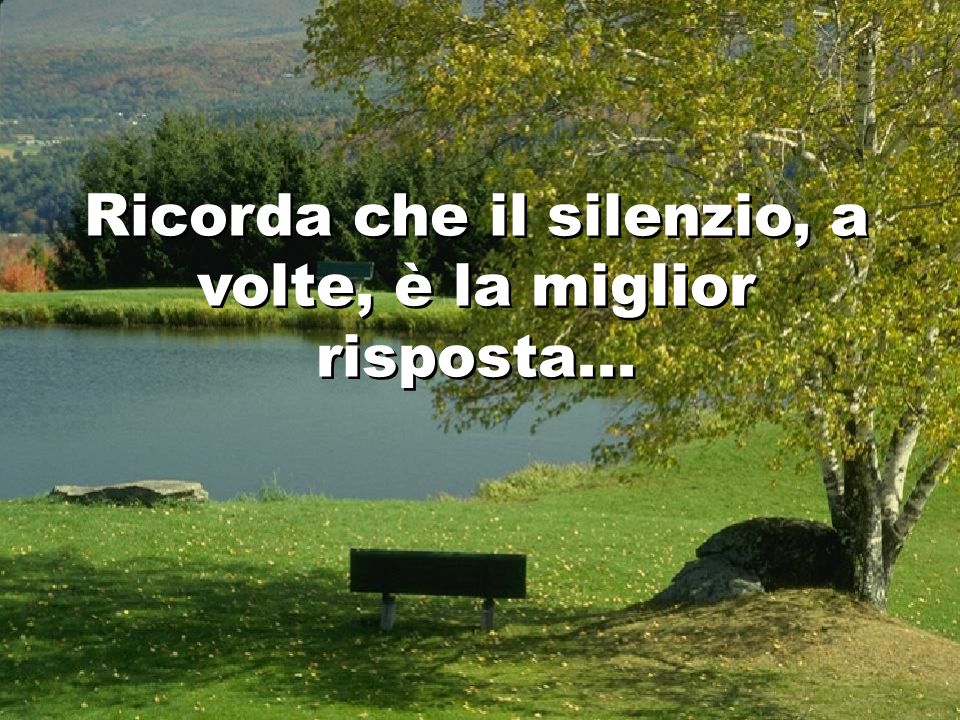 Ricorda che il silenzio, a volte, è la miglior risposta...