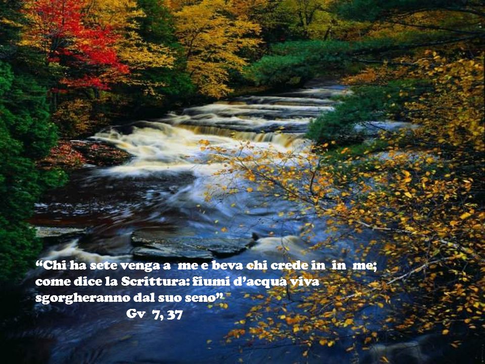 Chi ha sete venga a me e beva chi crede in in me; come dice la Scrittura: fiumi d’acqua viva sgorgheranno dal suo seno