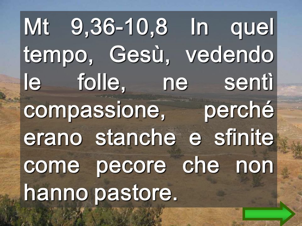 Mt 9,36-10,8 In quel tempo, Gesù, vedendo le folle, ne sentì compassione, perché erano stanche e sfinite come pecore che non hanno pastore.