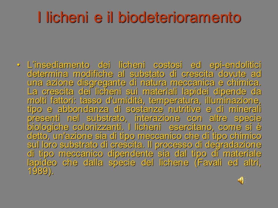 I licheni e il biodeterioramento