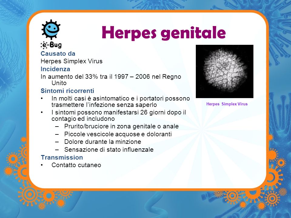 Herpes genitale Causato da Herpes Simplex Virus Incidenza