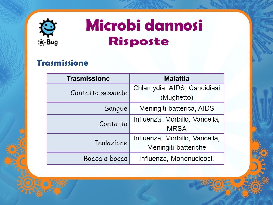 Microbi dannosi Trasmissione Risposte Trasmissione Malattia