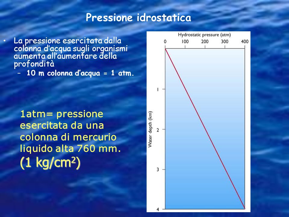 Pressione idrostatica