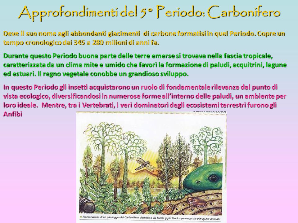 Approfondimenti del 5° Periodo: Carbonifero