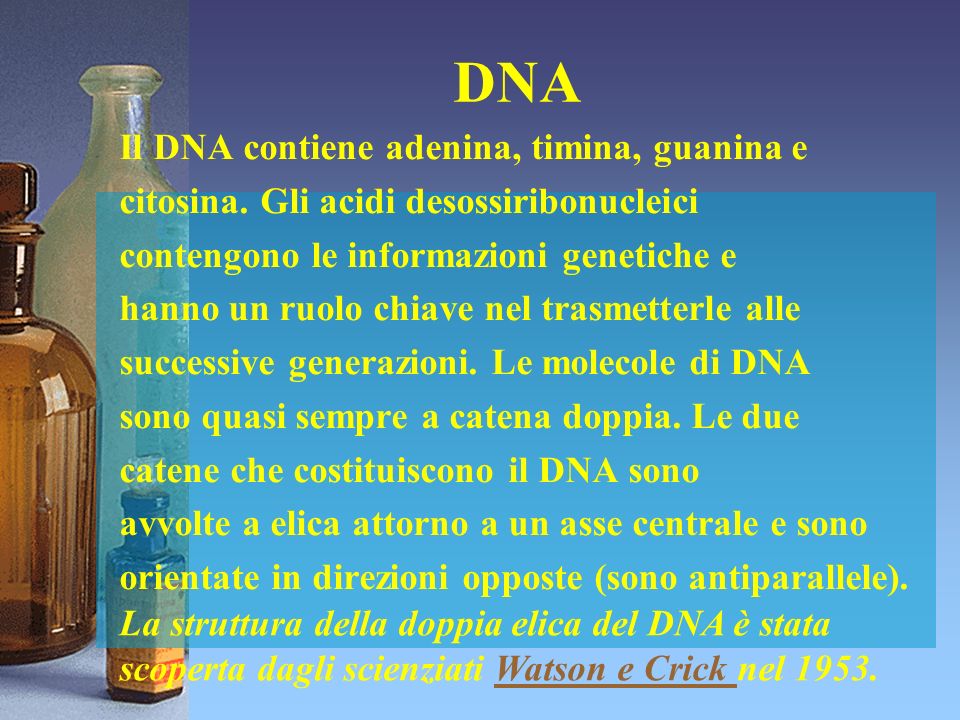 DNA Il DNA contiene adenina, timina, guanina e