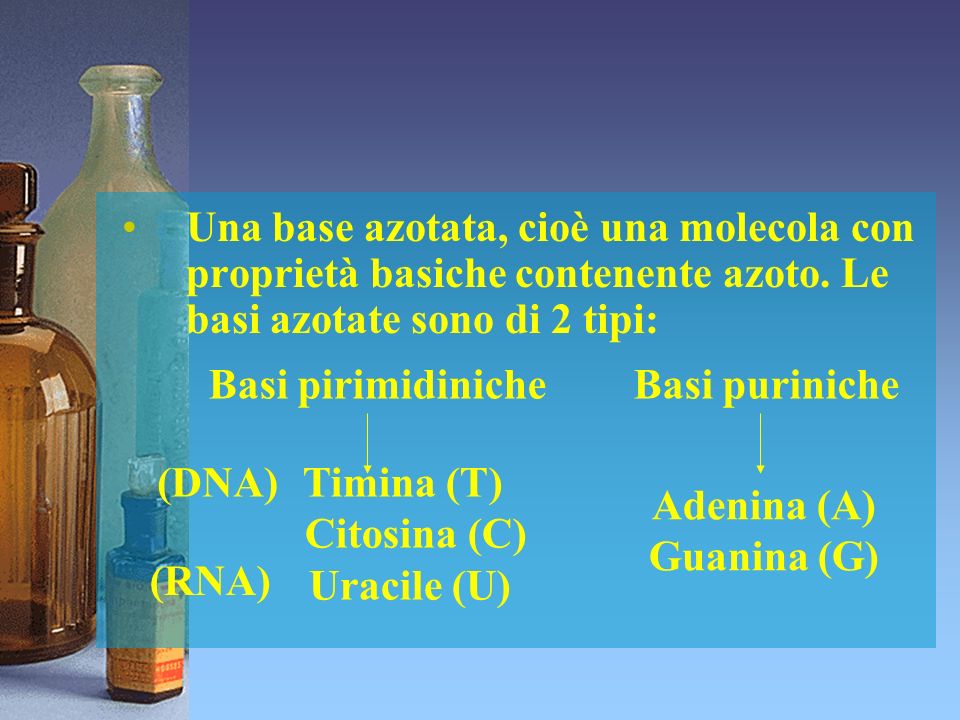 Basi pirimidiniche Citosina (C) Uracile (U) Adenina (A) Guanina (G)
