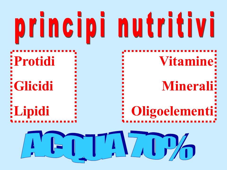 ACQUA 70% principi nutritivi Protidi Glicidi Lipidi Vitamine Minerali