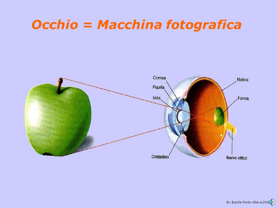 Occhio = Macchina fotografica