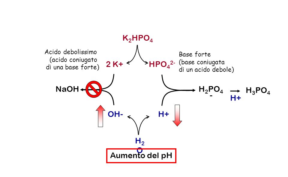 K2HPO4 2 K+ HPO42- NaOH H2PO4- H3PO4 H+ OH- H+ H2O Aumento del pH