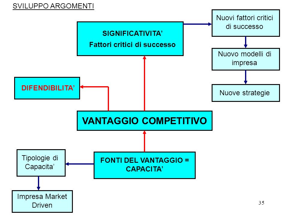 VANTAGGIO COMPETITIVO