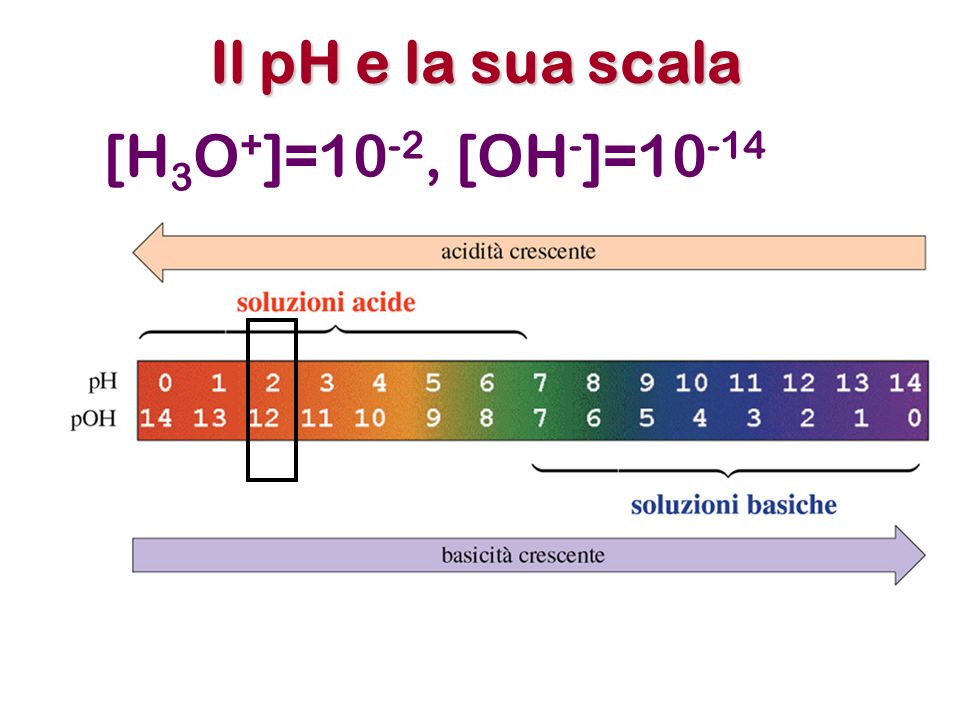 Il pH e la sua scala [H3O+]=10-2, [OH-]=10-14