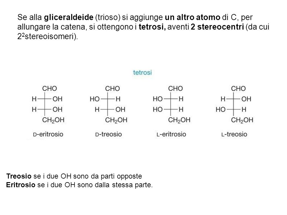 Se alla gliceraldeide (trioso) si aggiunge un altro atomo di C, per allungare la catena, si ottengono i tetrosi, aventi 2 stereocentri (da cui 22stereoisomeri).