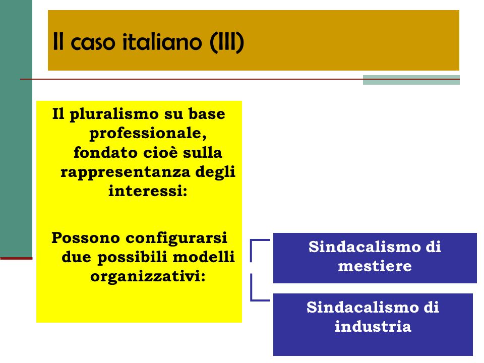 Il caso italiano (III) Il pluralismo su base professionale, fondato cioè sulla rappresentanza degli interessi:
