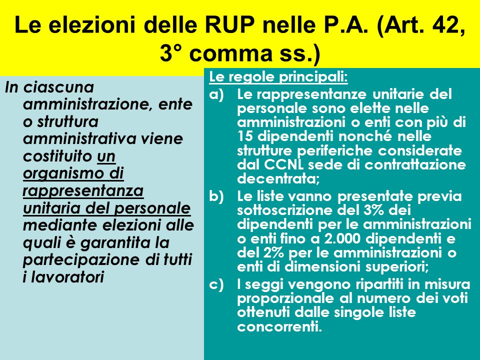 Le elezioni delle RUP nelle P.A. (Art. 42, 3° comma ss.)
