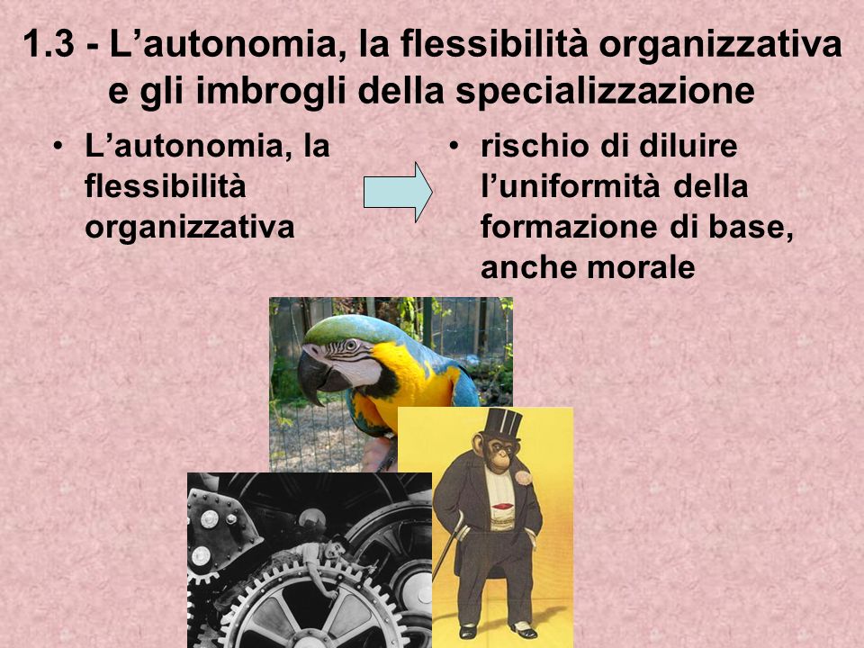 1.3 - L’autonomia, la flessibilità organizzativa e gli imbrogli della specializzazione