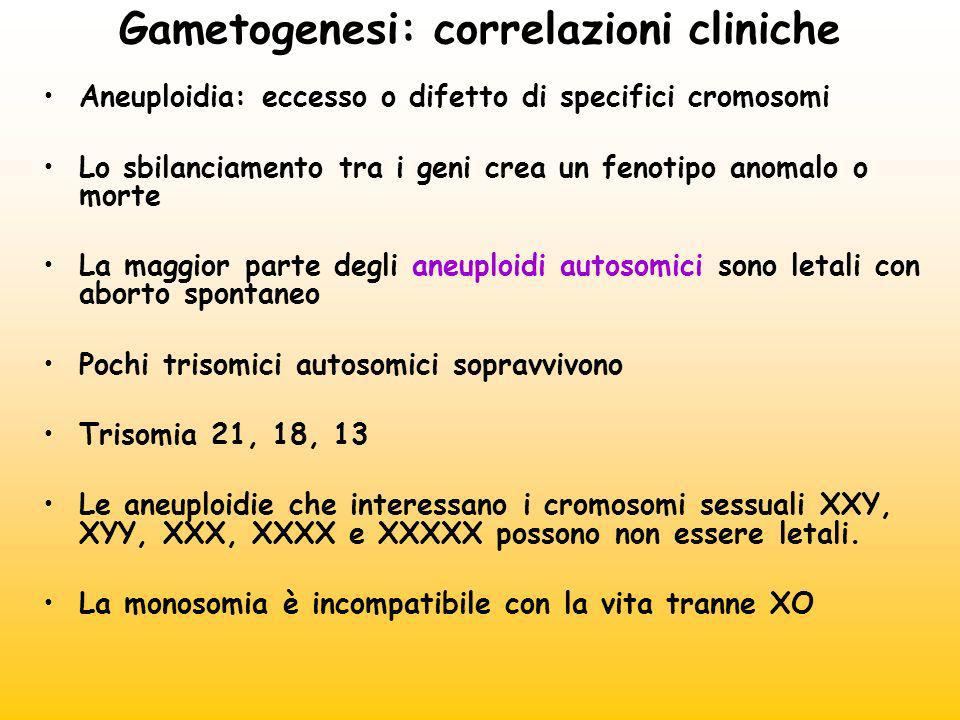 Gametogenesi: correlazioni cliniche