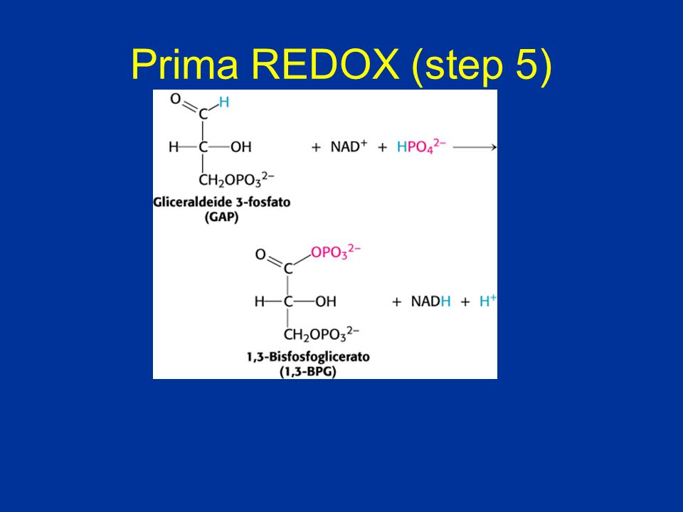 Prima REDOX (step 5)