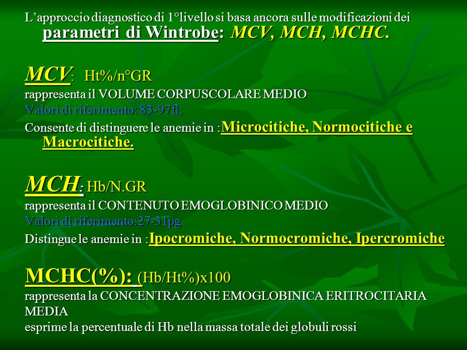MCH: Hb/N.GR MCV: Ht%/n°GR MCHC(%): (Hb/Ht%)x100