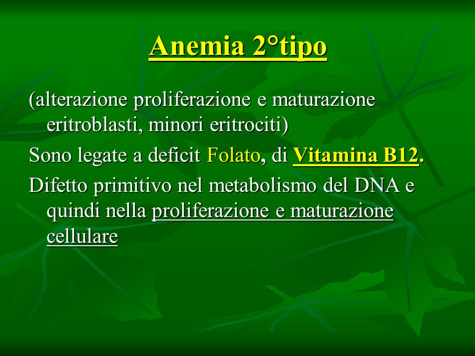 Anemia 2°tipo (alterazione proliferazione e maturazione eritroblasti, minori eritrociti) Sono legate a deficit Folato, di Vitamina B12.