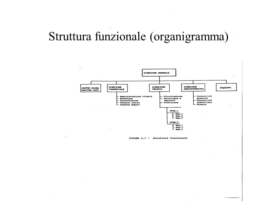 Struttura funzionale (organigramma)