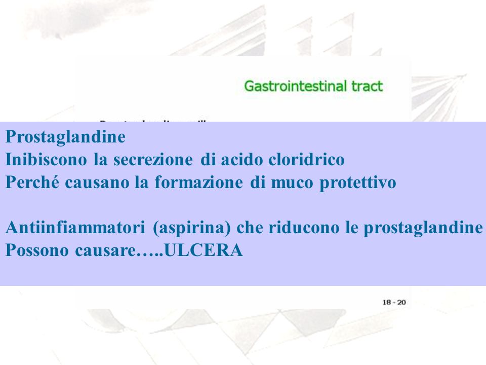 Prostaglandine Inibiscono la secrezione di acido cloridrico. Perché causano la formazione di muco protettivo.