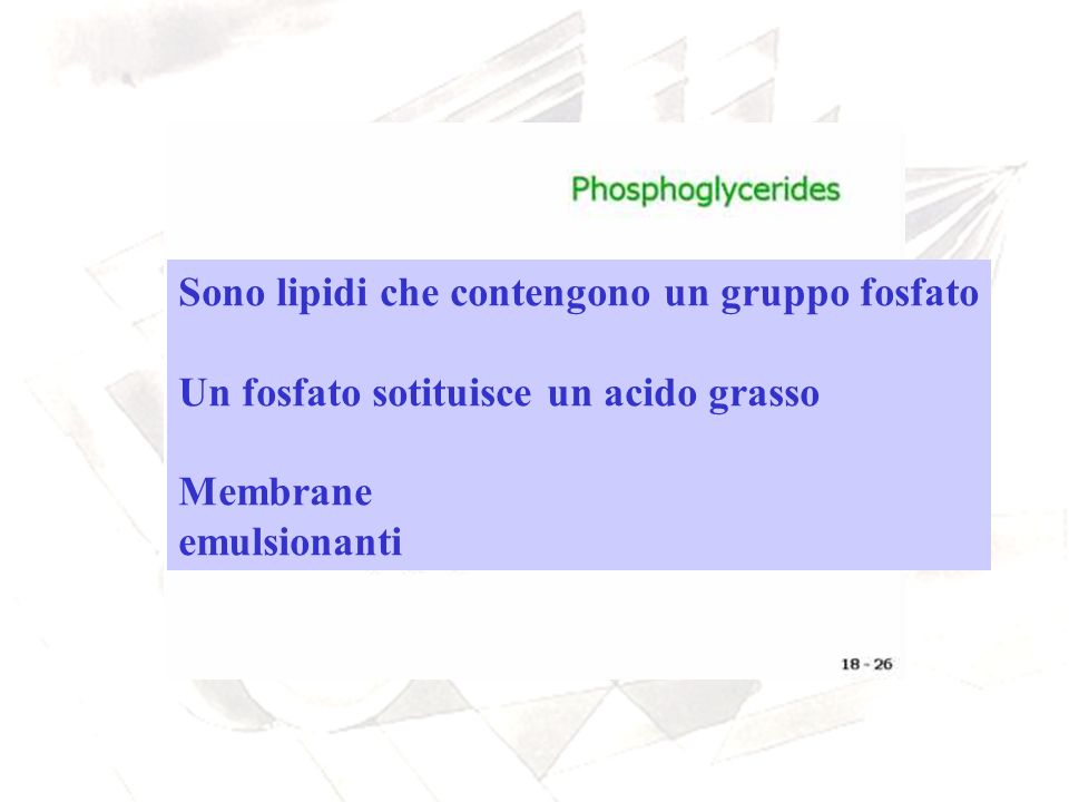 Sono lipidi che contengono un gruppo fosfato
