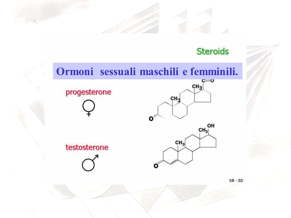 Ormoni sessuali maschili e femminili.