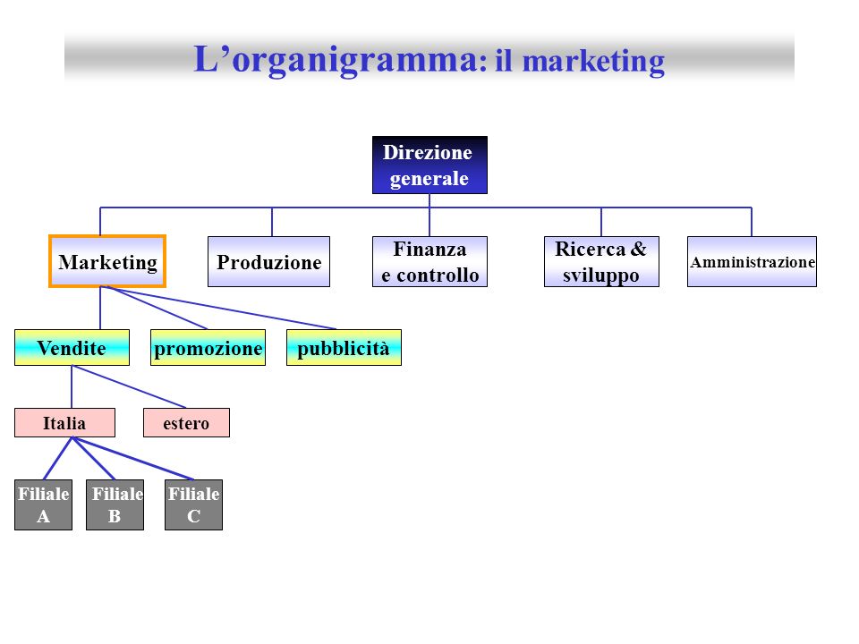 L’organigramma: il marketing