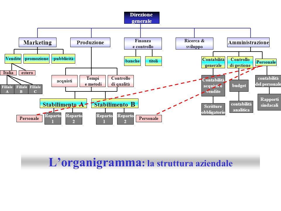 L’organigramma: la struttura aziendale
