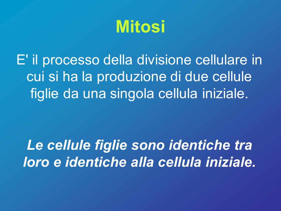 Mitosi E il processo della divisione cellulare in cui si ha la produzione di due cellule figlie da una singola cellula iniziale.
