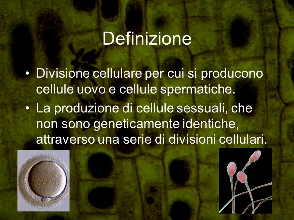 Definizione Divisione cellulare per cui si producono cellule uovo e cellule spermatiche.