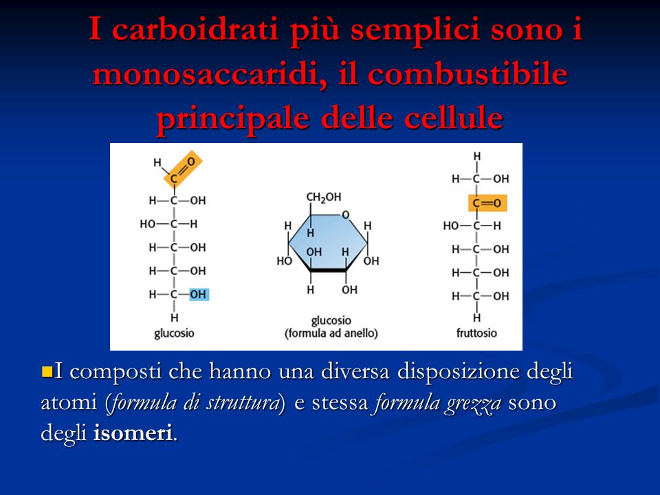 I carboidrati più semplici sono i monosaccaridi, il combustibile principale delle cellule