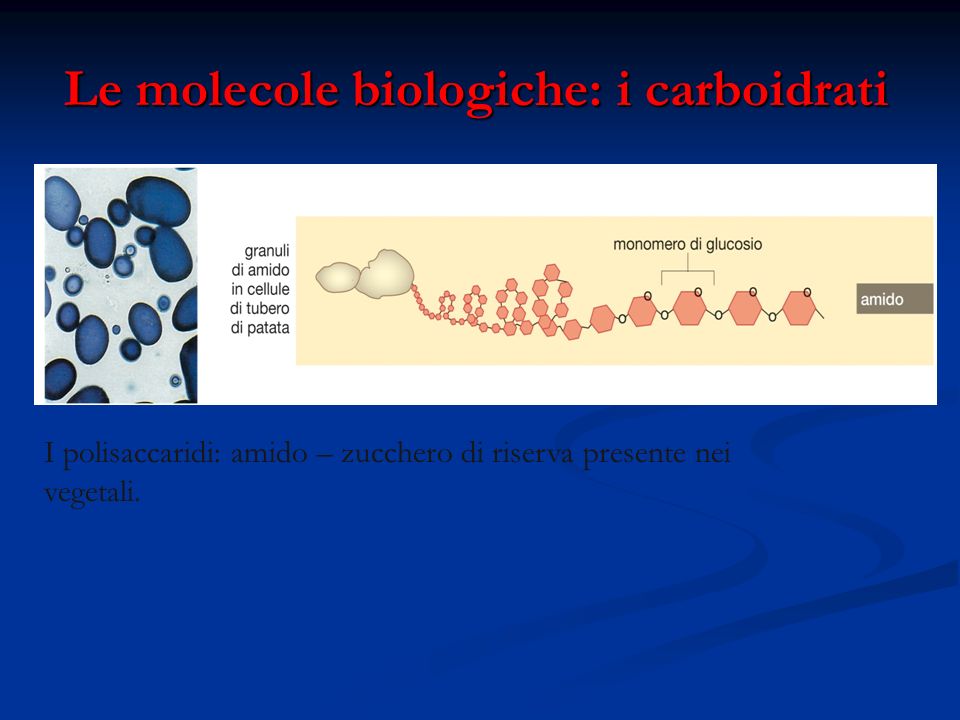 Le molecole biologiche: i carboidrati