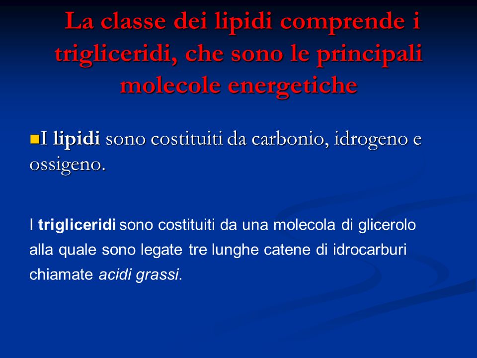 La classe dei lipidi comprende i trigliceridi, che sono le principali molecole energetiche